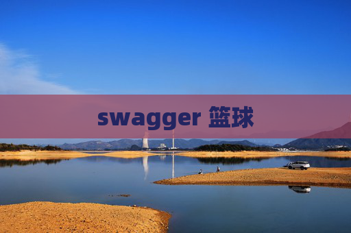 swagger 篮球 swagger 篮球